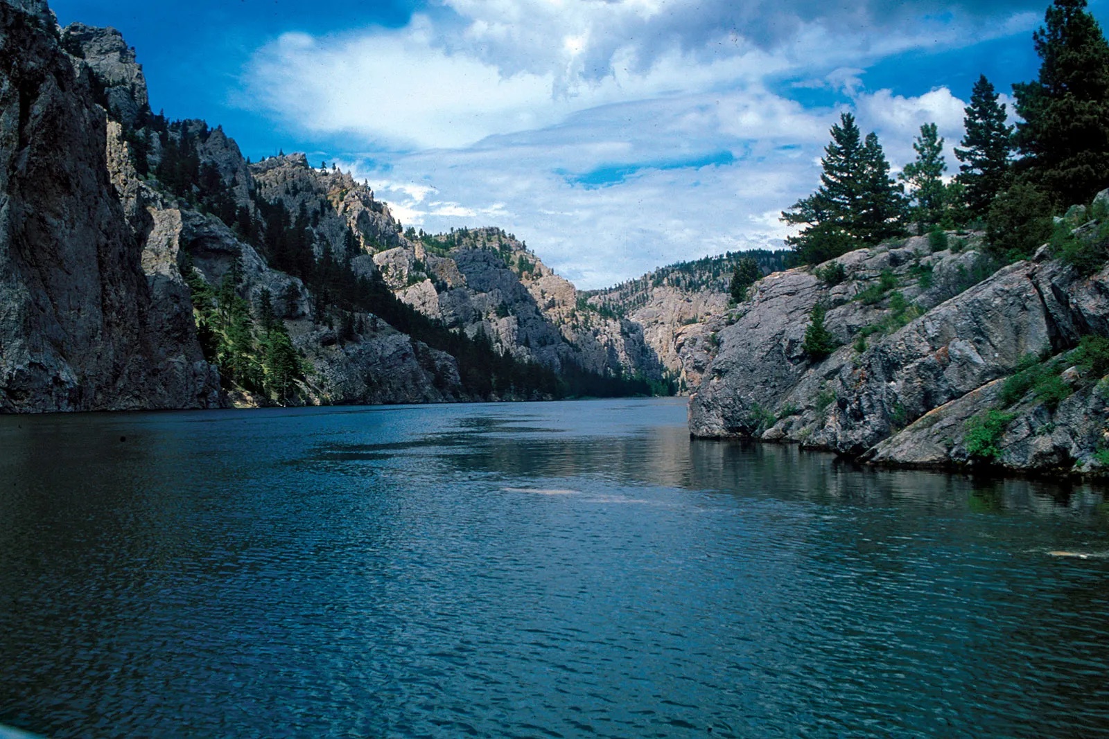 The Eleven Point River winding through wooded hills